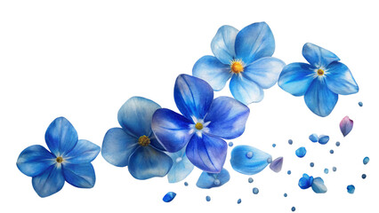 Fototapeta premium forget me not