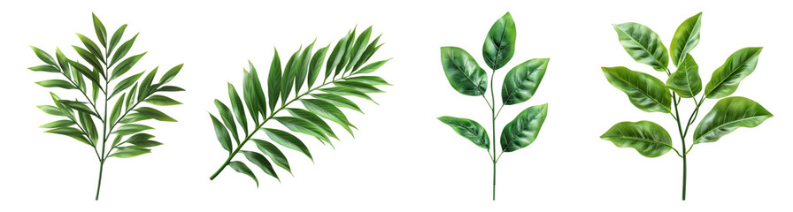 Fototapeta premium Four Green Sprigs Illustration