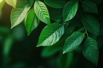 Nature of green leaf in garden at summer. Natural green leaves plants using as spring background cover page greenery environment ecology lime green wallpaper with ai