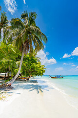 Obraz premium Koh Muk Beach View with long-tail boats on beautiful sandy beach in Trang Province, Southern Thailand, Asia