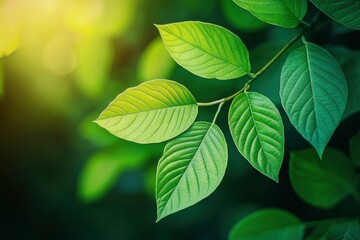 Nature of green leaf in garden at summer. Natural green leaves plants using as spring background cover page greenery environment ecology lime green wallpaper with ai