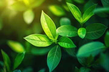 Nature of green leaf in garden at summer. Natural green leaves plants using as spring background cover page greenery environment ecology lime green wallpaper with ai