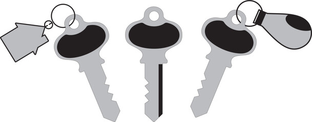 Keys vector . Keys with key chain vector