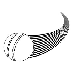 Flying Cricket Ball