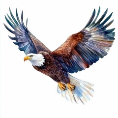 Fototapeta premium Watercolor illustration of a majestic bald eagle soaring with wings wide open, showcasing detailed feathers and strong presence.