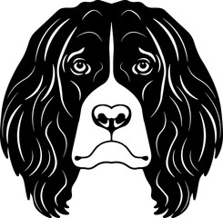 French Spaniel
