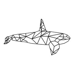 Geometric Killer Whale Outline © VektorzDesign