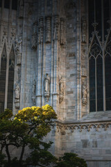 Statues of saints on the exterior walls of Duomo Milano, Italy