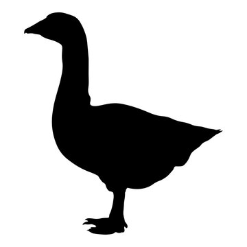 black goose silhouette standing white background clip art preview