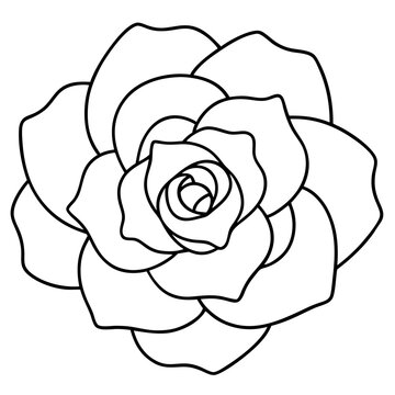 recommend clip art: Rose line art vector,icon illustration on white background.
