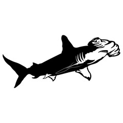 Hammerhead Shark