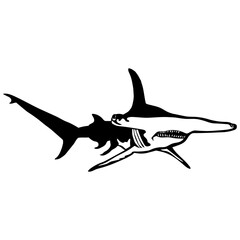 Hammerhead Shark