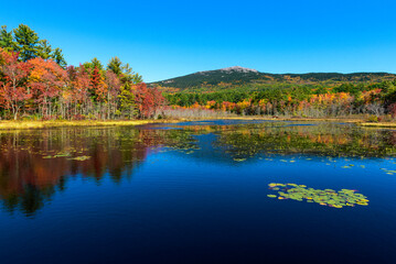 Fall colors and water pond near mount Monadnock