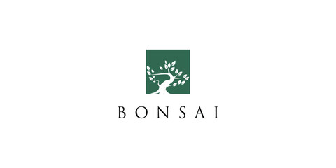 oriental bonsai logo design premium vector