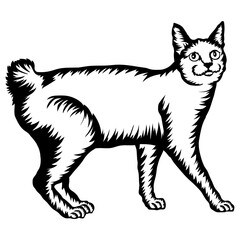 Japanese Bobtail Cat