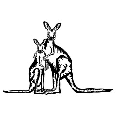 Kangaroo Mama and Baby