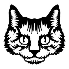 Kurilian Bobtail Cat Face