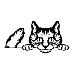 Kurilian Bobtail Cat