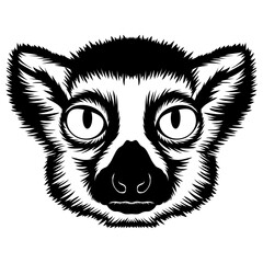 Lemur Face