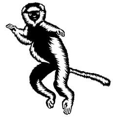Lemur Jumping