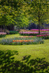 Obraz premium Spring landscape in Keukenhof, Holland