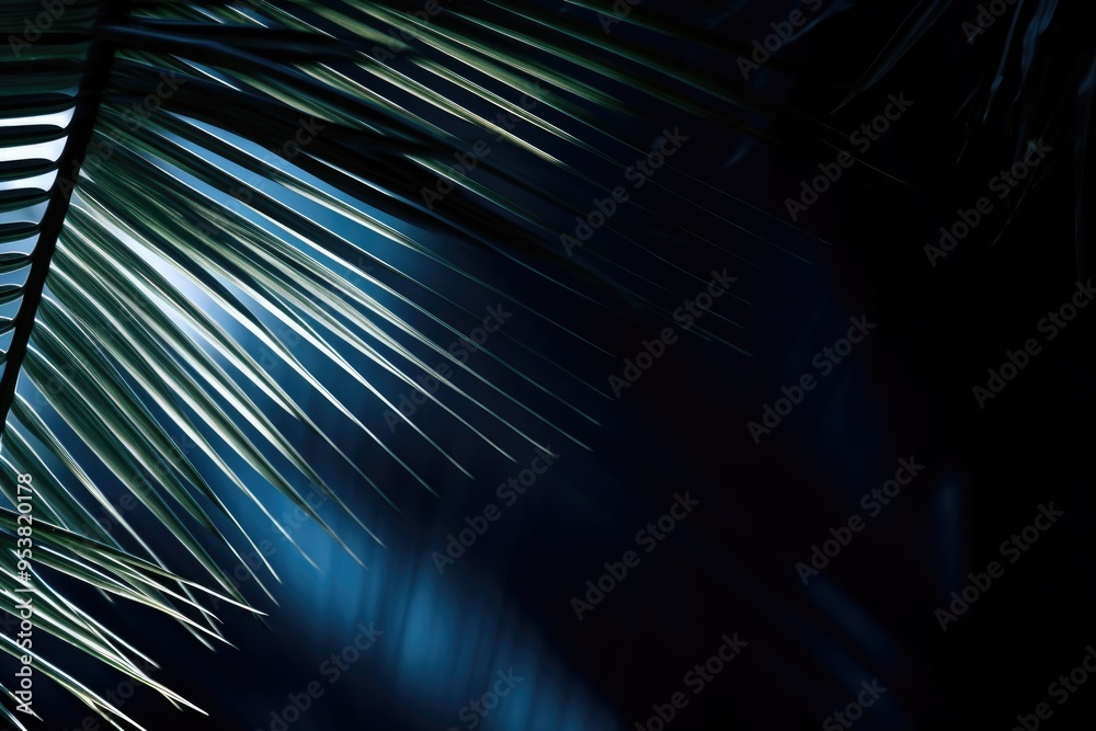 Wall mural light and shadow on palm leaf dark blue nature background