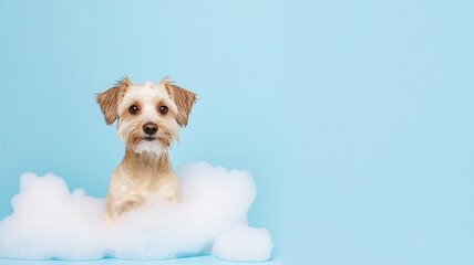 Clean dog in a spa tub with organic bubbles, modern pet care, hygiene-focused