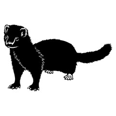 Mink