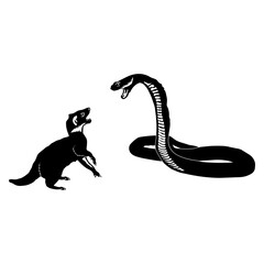 Mongoose vs Cobra Snake