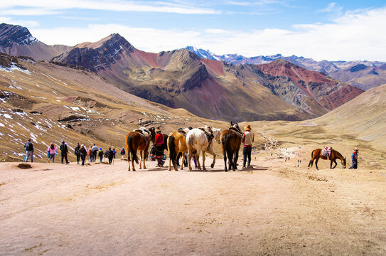 Arrieros de comunidades ind&iacute;genas con sus caballos en Vinicunca o monta&ntilde;a de siete colores. Cusco. Per&uacute;.