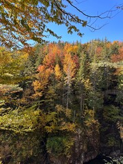 autumn in the mountains of new england