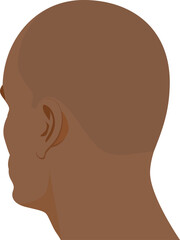 Human male head portrait back angle