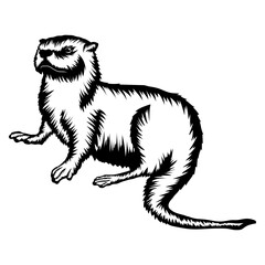 Northern River Otter