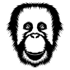 Orangutan Face