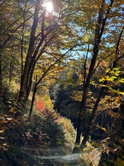 autumn in the mountains