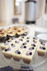 Sweet mousse decorated with berries on the buffet table.