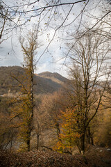 Landscape with beautiful fog in forest on hill or Trail through a mysterious winter forest with autumn leaves on the ground. Road through a winter forest. Magical atmosphere. Azerbaijan nature