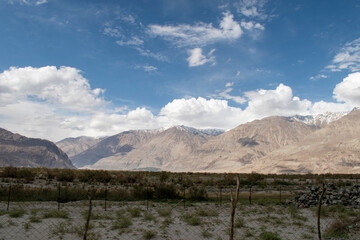 Nubra Vally in Ladakh, India the scenic view of leh ladakh with free space