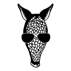 Armadillo In Sunglasses