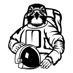 Astronaut Falcon
