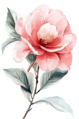 Watercolor Illustration of a Dusty Camellia Flower Arrangement for Feminine Designs Generative AI