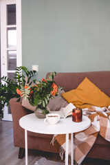 A Cozy Living Room Featuring a Soft Blanket, Lush Green Plants, and a Warm Cup of Coffee