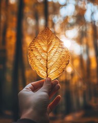 Person holding a leaf with sun rays