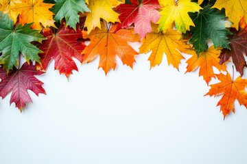 Autumn Maple Leaves Flat Lay White Background created with Generative AI