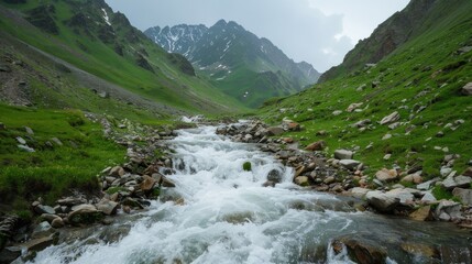 Mountain River with Fast-Flowing Water