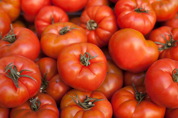 Lots of tomatoes on a branch on counter