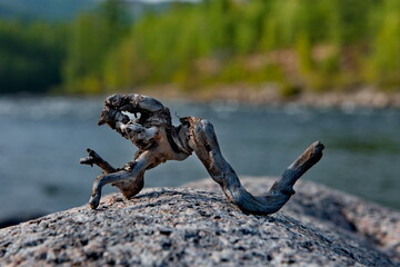 Russia, Western Buryatia. A bizarre snag in the form of a fabulous ugly monster on the coastal stone of the river Tissa.