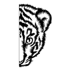 Baby Tiger Half Face