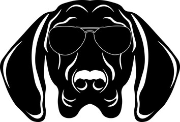 Bavarian Mountain Scent Hound In Sunglasses
