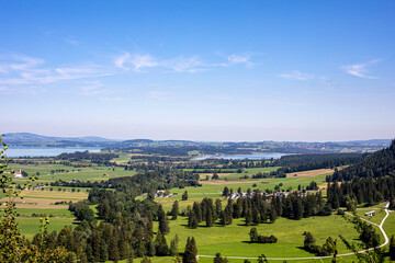 Obraz premium Vast green fields and serene lakes stretch across the landscape under a clear blue sky in the heart of rural Switzerland during summer